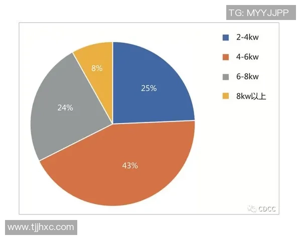 深圳排球队意识表现的数据分析与提升策略探讨 深圳排球队意识表现的数据分析与提升策略探讨