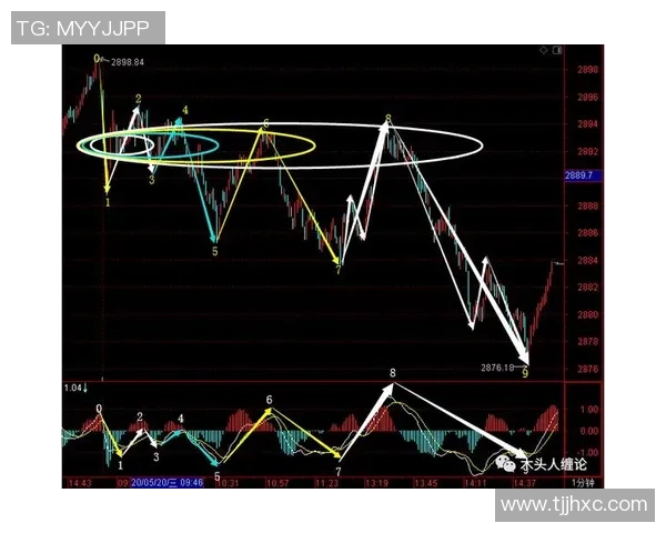 广州排球队整体压制战术解析与实战应用探讨