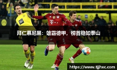 LD乐动