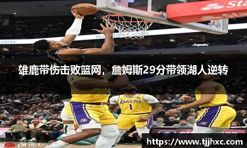 LD乐动体育