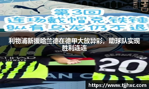 LD乐动