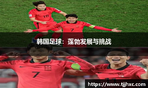 ld乐动体育app官网