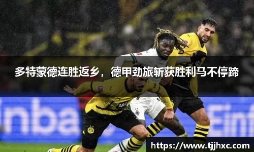 ld乐动体育app官网