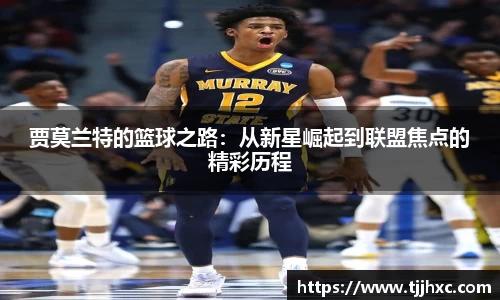乐动体育登录地址