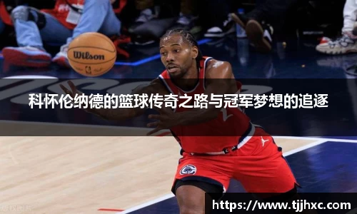 LD乐动